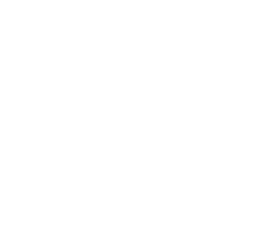 FeverProinteractive